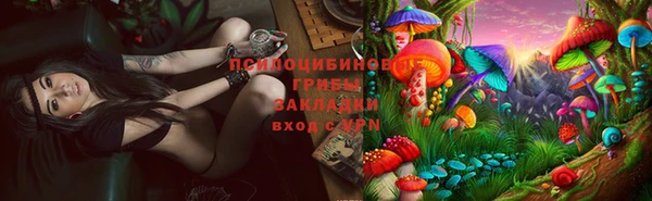 таблы Алексеевка