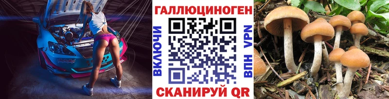 Галлюциногенные грибы прущие грибы Тырныауз
